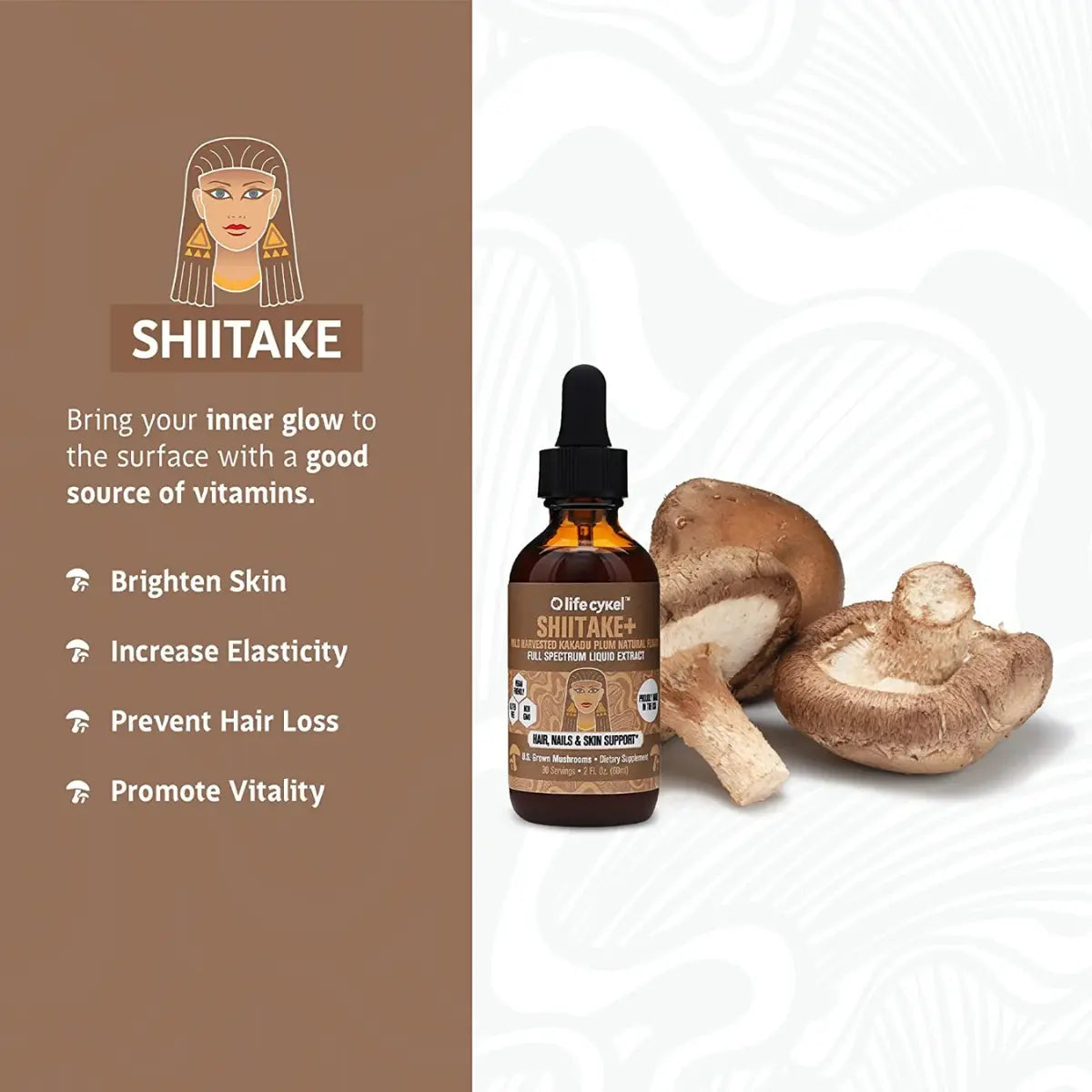 SHIITAKE