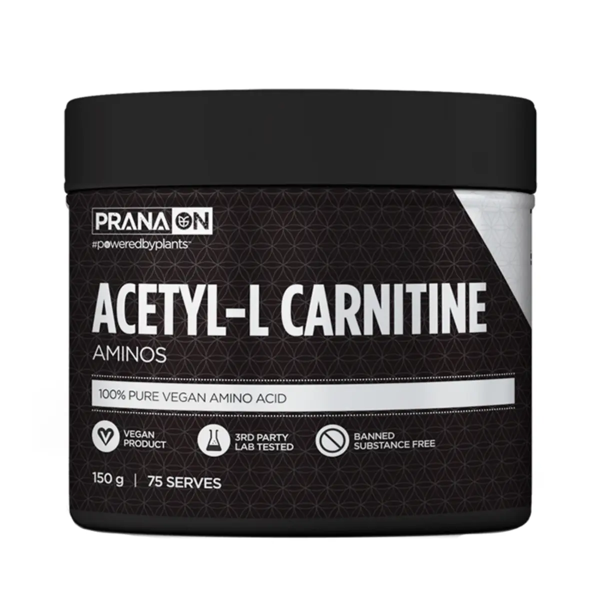 Acetyl LCarnitine 100 Pure Vegan Aminos Acid Supps Spot