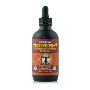 Life Cykel Cordyceps -