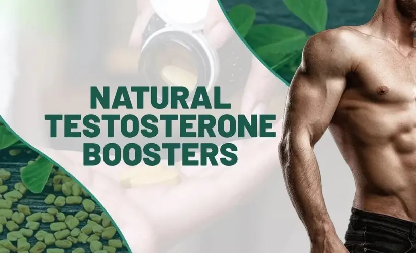 Natural Testosterone Boosters What You Should Know