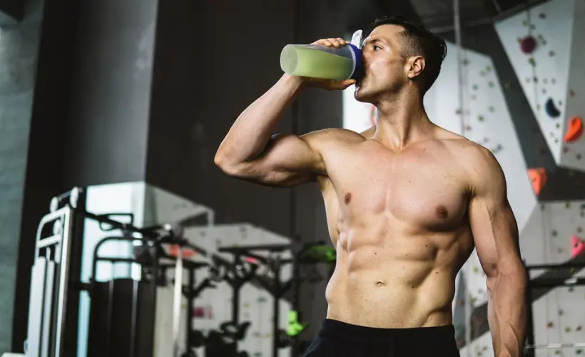 The Best Protein Shakes for a Busy Life