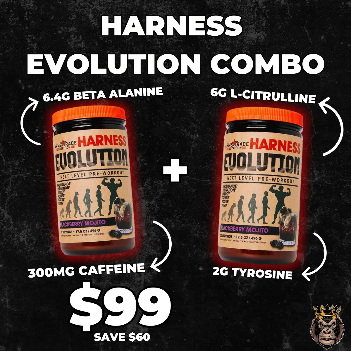 2 x HARNESS (DESKTOP)