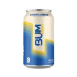Blueberry Lemonade 1 webp