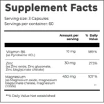 Day One ZMA NP Nutrition Capital 1 webp