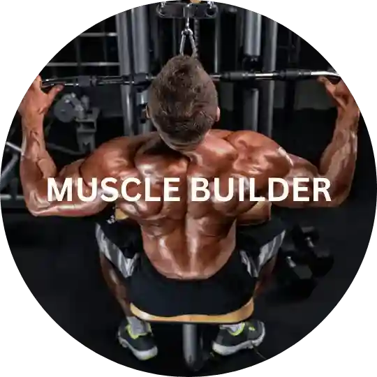 muscle banner 20 compressed