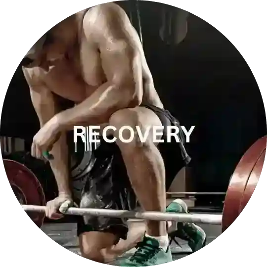 recovery banner 19 compressed compressed compressed